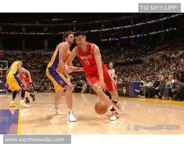 南京篮球队的实力分析与未来发展展望探讨