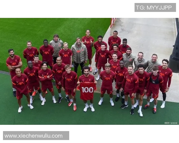 伊布与范戴克的巅峰对决谁能在球场上笑到最后